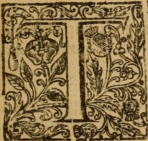 An illustration from The plain mans senses exercised to discern both good and evill : or, A discovery of the errors, heresies and blasphemies of these times, and the toleration of them as they are collected and testified against by the ministers of London, in their testimony to the truth of Jesus Christ .., 1657, leaf 22