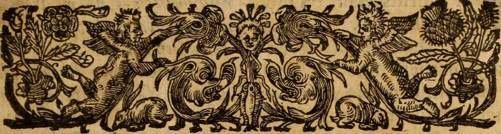 An illustration from Plain Scripture proof of infants church-membership and baptism : being the arguments prepared for (and partly managed in) the publike dispute with Mr. Tombes at Bewdley on the first day of January, 1649 .., 1651, leaf 10