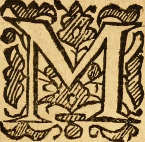 An illustration from Plain Scripture proof of infants church-membership and baptism : being the arguments prepared for (and partly managed in) the publick dispute with Mr. Tombes at Bewdley on the first day of Jan. 1649 .., 1656, leaf 436