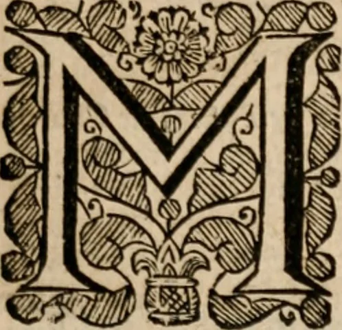 An illustration from Plain Scripture proof of infants church-membership and baptism : being the arguments prepared for (and partly managed in) the publick dispute with Mr. Tombes at Bewdley on the first day of Jan. 1649 : with a full reply to what he then answered and what is contained in his sermon since preached ... with a reply to his valedictory oration at Bewdley and a corrective for his antidote, 1653, leaf 106