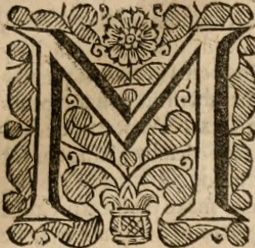 An illustration from Plain Scripture proof of infants church-membership and baptism : being the arguments prepared for (and partly managed in) the publick dispute with Mr. Tombes at Bewdley on the first day of Jan. 1649 : with a full reply to what he then answered and what is contained in his sermon since preached ... with a reply to his valedictory oration at Bewdley and a corrective for his antidote, 1653, leaf 108
