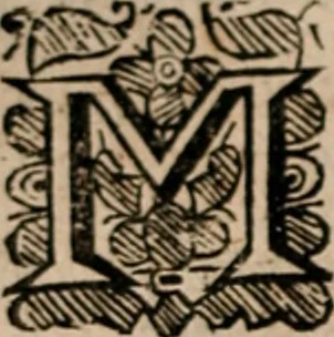 An illustration from Plain Scripture proof of infants church-membership and baptism : being the arguments prepared for (and partly managed in) the publick dispute with Mr. Tombes at Bewdley on the first day of Jan. 1649 : with a full reply to what he then answered and what is contained in his sermon since preached ... with a reply to his valedictory oration at Bewdley and a corrective for his antidote, 1653, leaf 113