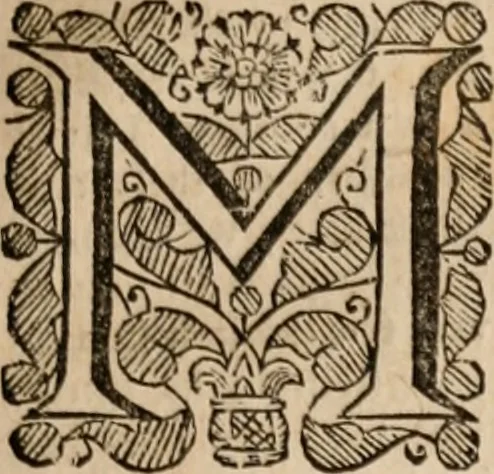 An illustration from Plain Scripture proof of infants church-membership and baptism : being the arguments prepared for (and partly managed in) the publick dispute with Mr. Tombes at Bewdley on the first day of Jan. 1649 : with a full reply to what he then answered and what is contained in his sermon since preached ... with a reply to his valedictory oration at Bewdley and a corrective for his antidote, 1653, leaf 136