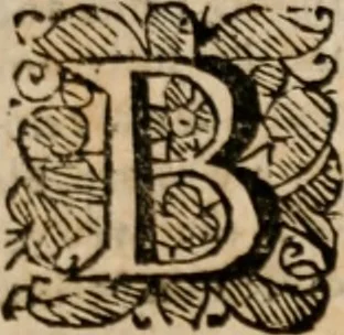 An illustration from Plain Scripture proof of infants church-membership and baptism : being the arguments prepared for (and partly managed in) the publick dispute with Mr. Tombes at Bewdley on the first day of Jan. 1649 : with a full reply to what he then answered and what is contained in his sermon since preached ... with a reply to his valedictory oration at Bewdley and a corrective for his antidote, 1653, leaf 168
