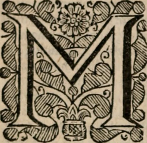 An illustration from Plain Scripture proof of infants church-membership and baptism : being the arguments prepared for (and partly managed in) the publick dispute with Mr. Tombes at Bewdley on the first day of Jan. 1649 : with a full reply to what he then answered and what is contained in his sermon since preached ... with a reply to his valedictory oration at Bewdley and a corrective for his antidote, 1653, leaf 191