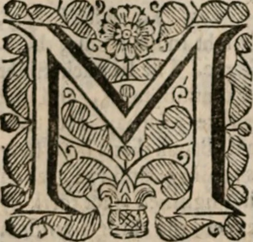 An illustration from Plain Scripture proof of infants church-membership and baptism : being the arguments prepared for (and partly managed in) the publick dispute with Mr. Tombes at Bewdley on the first day of Jan. 1649 : with a full reply to what he then answered and what is contained in his sermon since preached ... with a reply to his valedictory oration at Bewdley and a corrective for his antidote, 1653, leaf 193