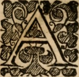 An illustration from Plain Scripture proof of infants church-membership and baptism : being the arguments prepared for (and partly managed in) the publick dispute with Mr. Tombes at Bewdley on the first day of Jan. 1649 : with a full reply to what he then answered and what is contained in his sermon since preached ... with a reply to his valedictory oration at Bewdley and a corrective for his antidote, 1653, leaf 344