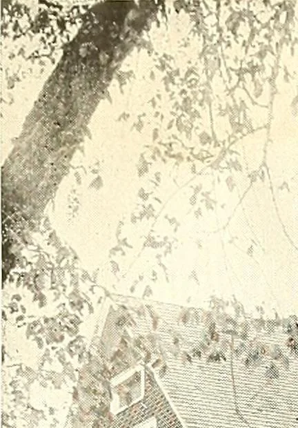 An illustration from The plan book of American dwellings : being a compilation of original home designs, showing actual photographic exteriors and floor plans of moderately priced bungalows, cottages, residences, 1914, leaf 289