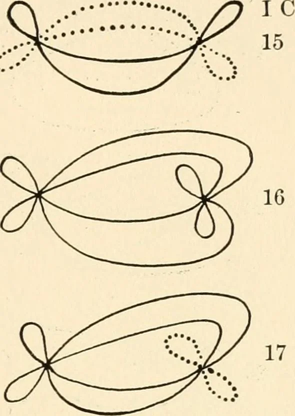 An illustration from Plane curves of the eighth order : with two real four-fold points having distinct tangents and with no other point singularities, 1908, leaf 28