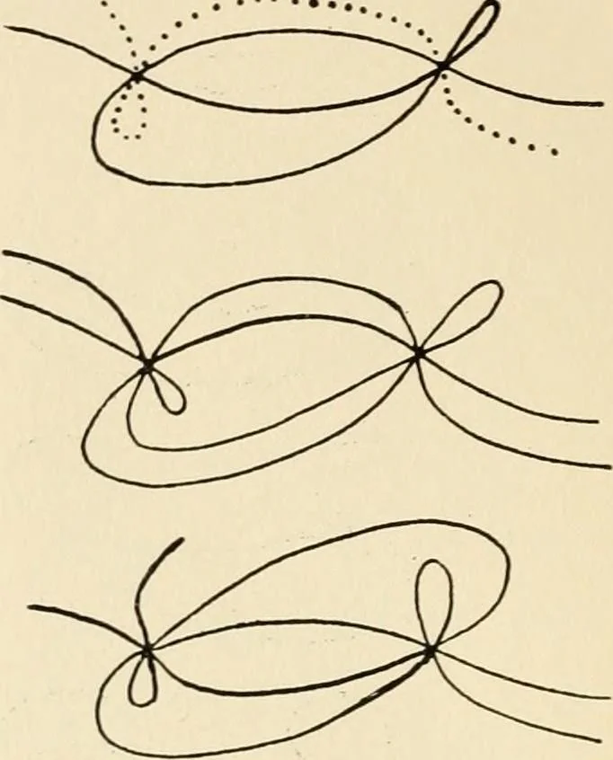 An illustration from Plane curves of the eighth order : with two real four-fold points having distinct tangents and with no other point singularities, 1908, leaf 31