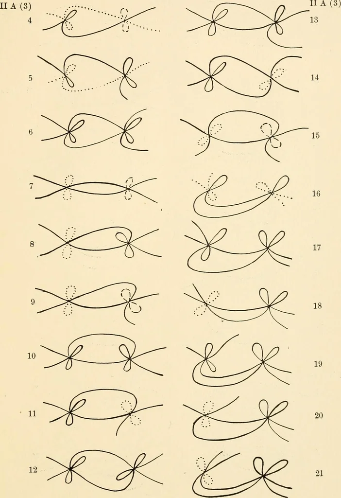 An illustration from Plane curves of the eighth order : with two real four-fold points having distinct tangents and with no other point singularities, 1908, leaf 32