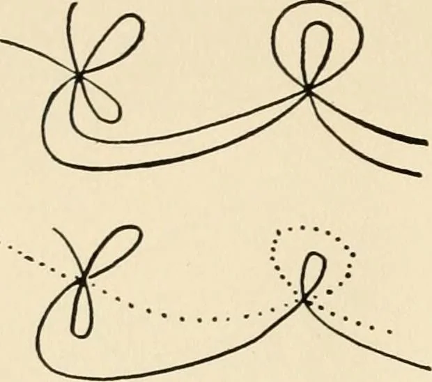 An illustration from Plane curves of the eighth order : with two real four-fold points having distinct tangents and with no other point singularities, 1908, leaf 33