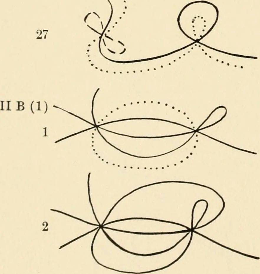 An illustration from Plane curves of the eighth order : with two real four-fold points having distinct tangents and with no other point singularities, 1908, leaf 33