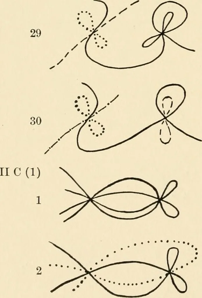 An illustration from Plane curves of the eighth order : with two real four-fold points having distinct tangents and with no other point singularities, 1908, leaf 37