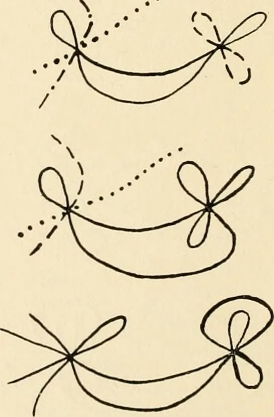 An illustration from Plane curves of the eighth order : with two real four-fold points having distinct tangents and with no other point singularities, 1908, leaf 37