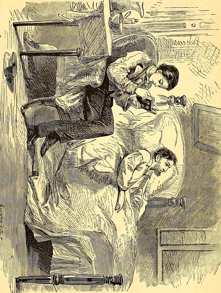 An illustration from Plane and plank, or, The mishaps of a mechanic, 1870, leaf 238