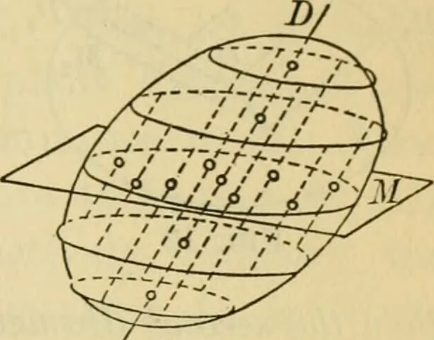 An illustration from Plane and solid analytic geometry, 1921, leaf 590