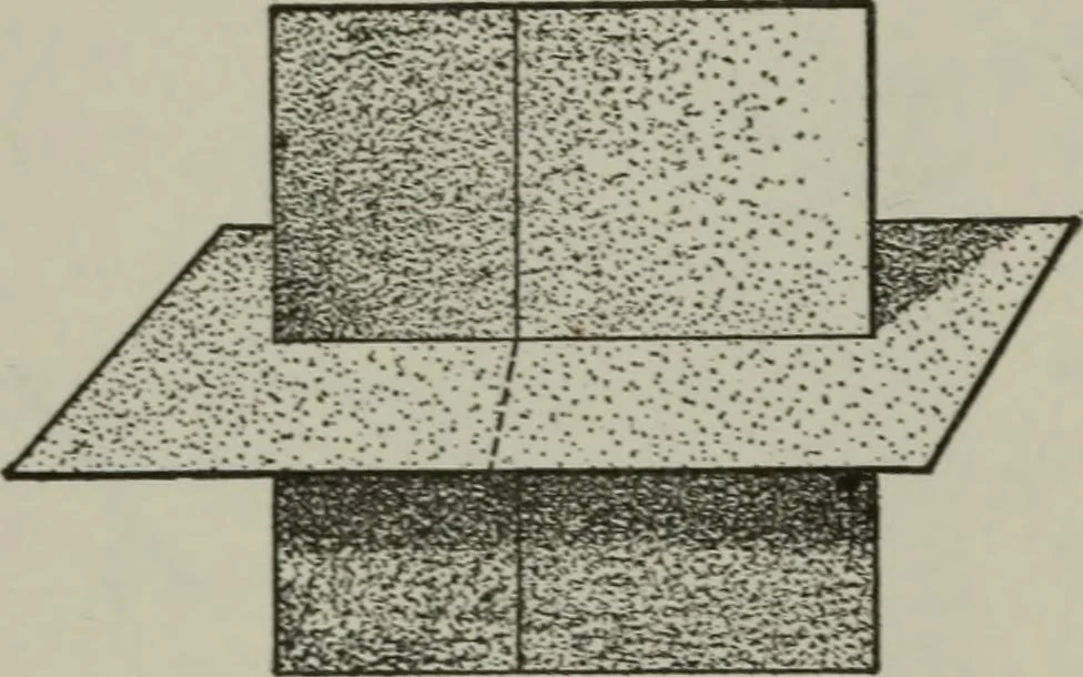 An illustration from Plane and solid geometry, 1912, leaf 339