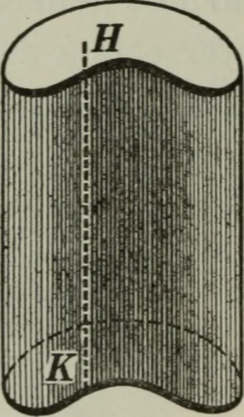 An illustration from Plane and solid geometry, 1912, leaf 395