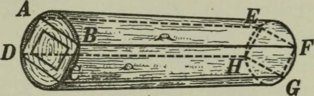 An illustration from Plane and solid geometry, 1912, leaf 426