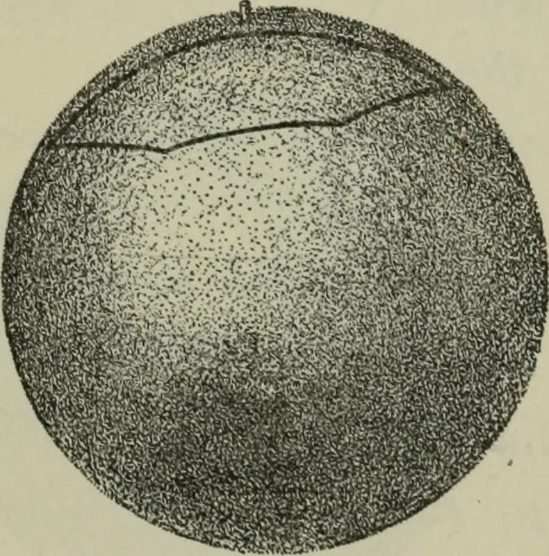 An illustration from Plane and solid geometry, 1912, leaf 440