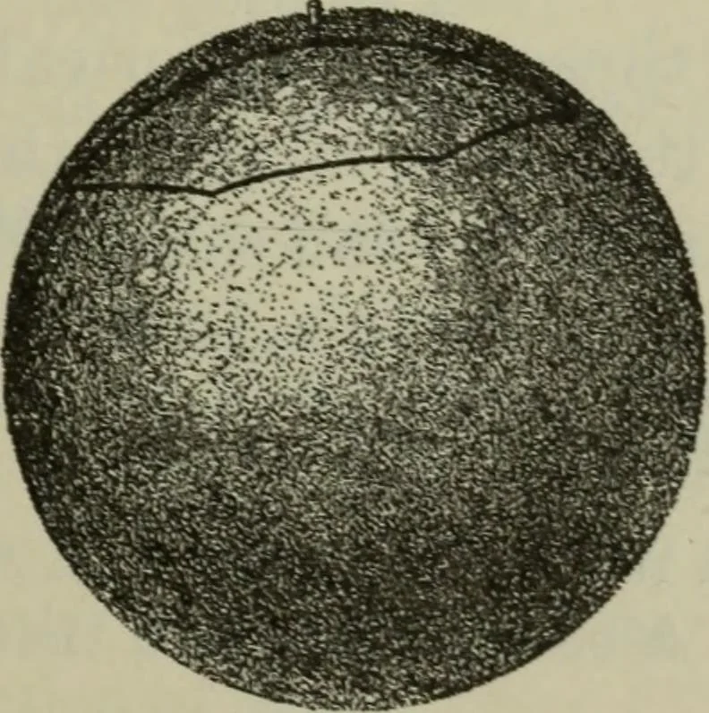 An illustration from Plane and solid geometry, 1912, leaf 442