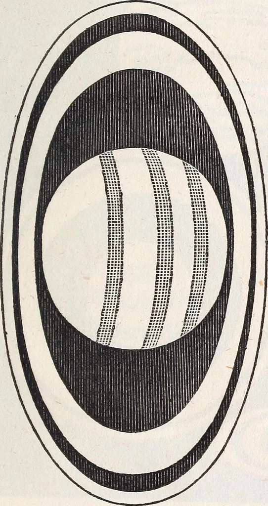 An illustration from The planetarium, and astronomical calculator .., 1833, leaf 250