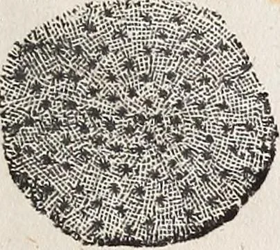 An illustration from The planetarium, and astronomical calculator .., 1833, leaf 260