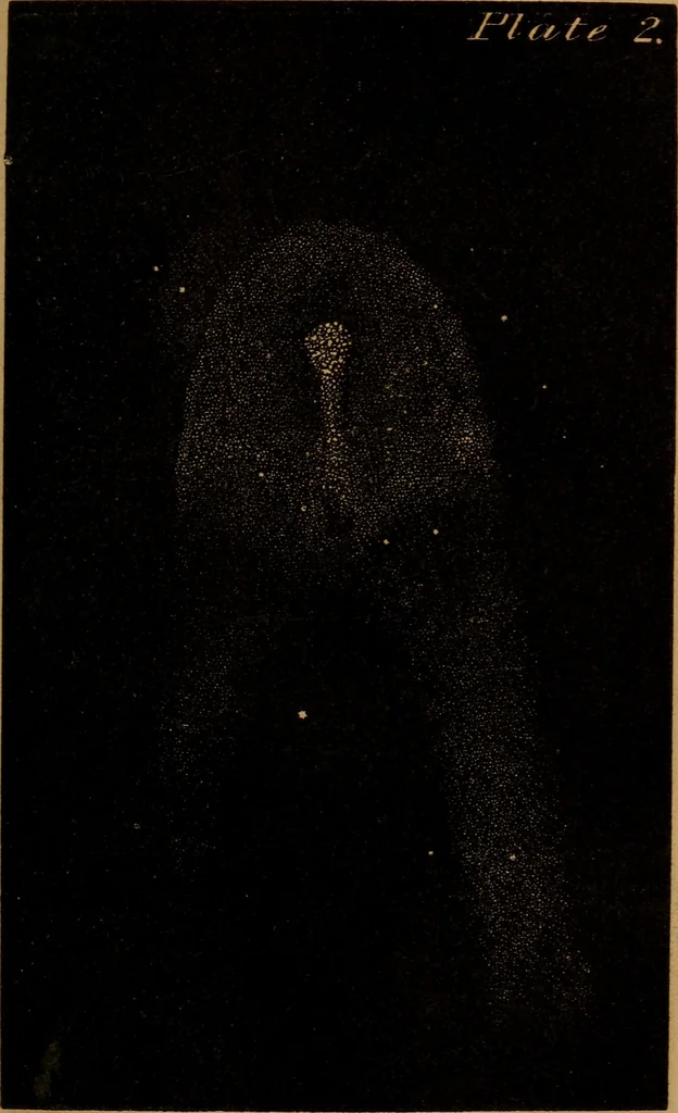 An illustration from The planetary and stellar worlds: a popular exposition of the great discoveries and theories of modern astronomy, 1852, leaf 344