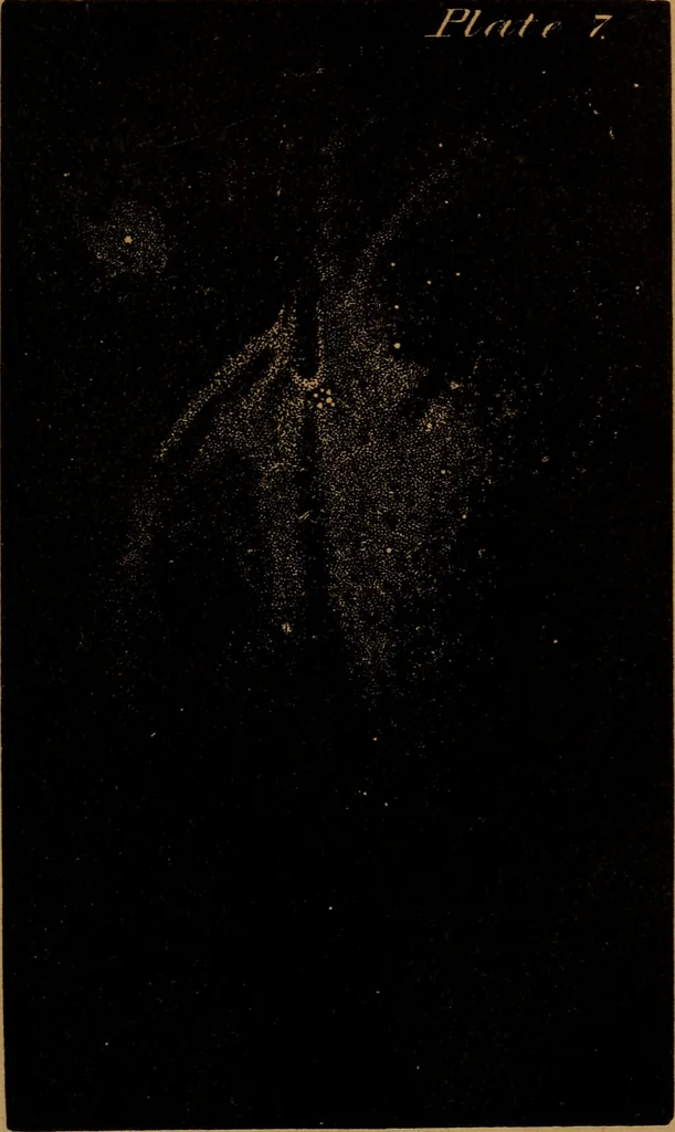An illustration from The planetary and stellar worlds: a popular exposition of the great discoveries and theories of modern astronomy, 1852, leaf 354