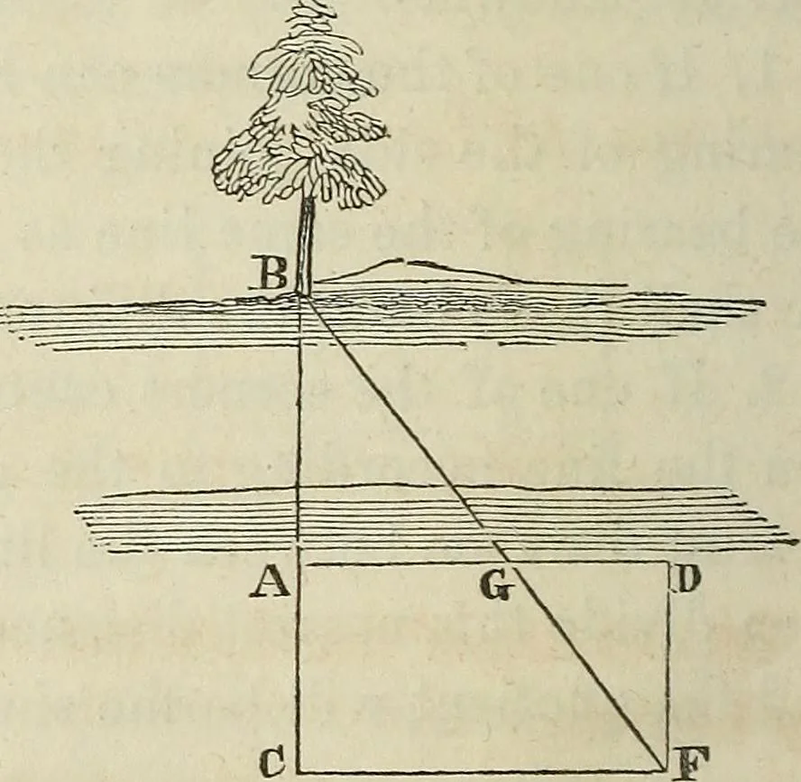 An illustration from Plane trigonometry, and its application to mensuration and land surveying. Accompanied with all the necessary logarithmic and trigonometric tables, 1852, leaf 155
