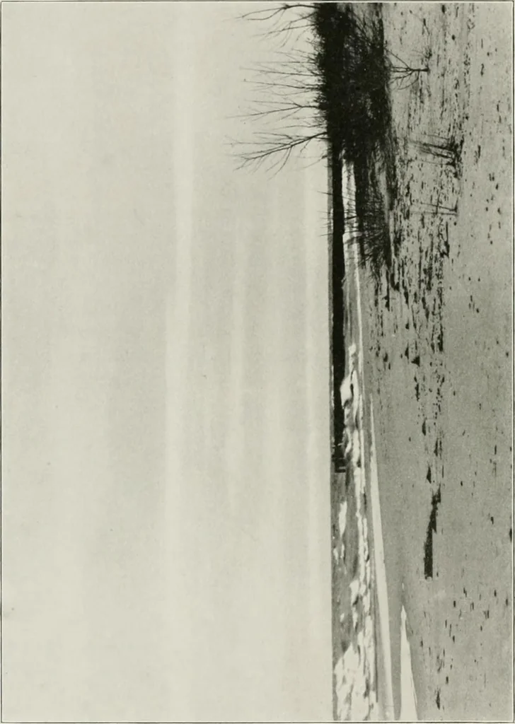 An illustration from Plan of Evanston, 1917, leaf 13