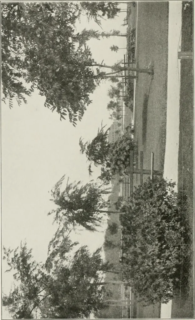 An illustration from Plan of Evanston, 1917, leaf 49