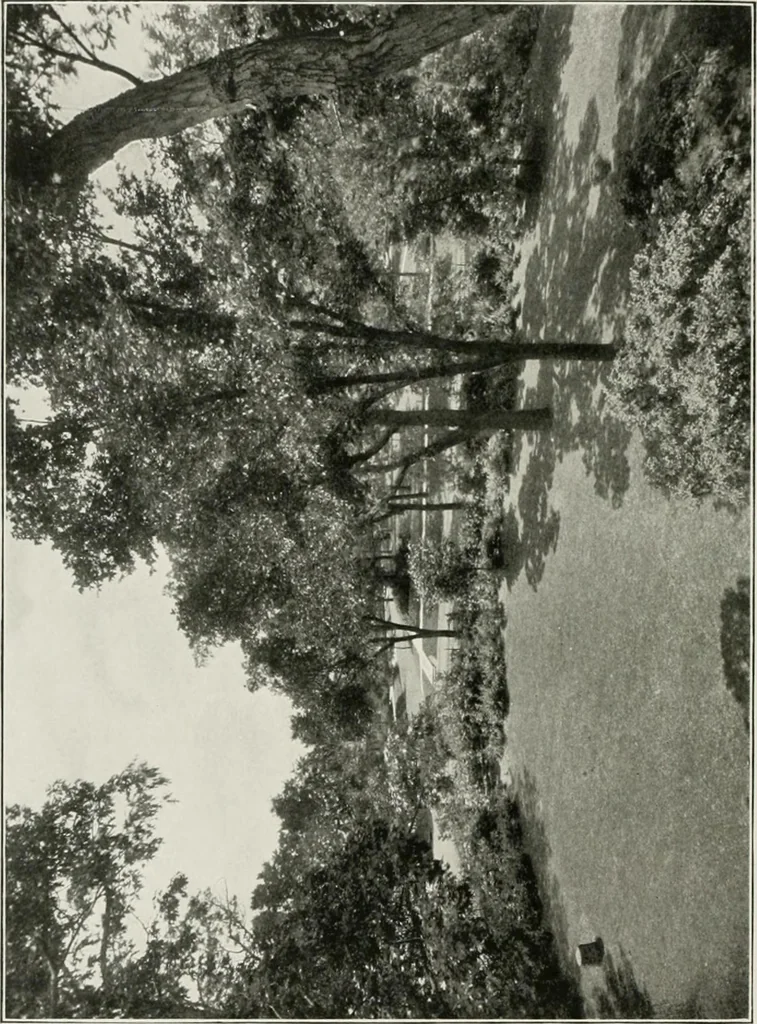 An illustration from Plan of Evanston, 1917, leaf 65