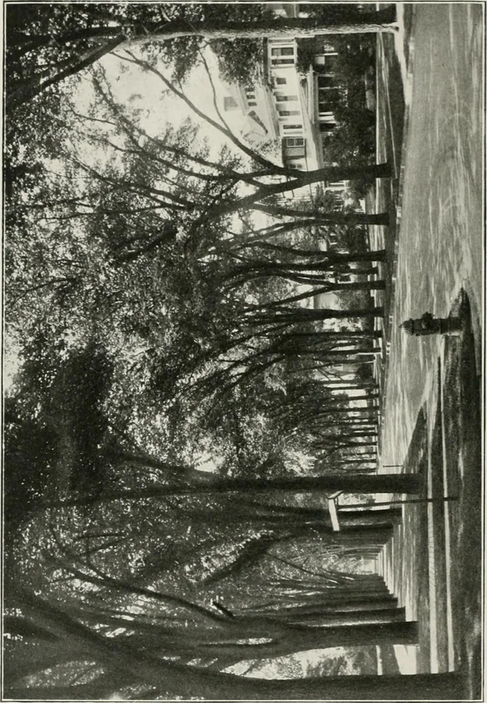 An illustration from Plan of Evanston, 1917, leaf 69