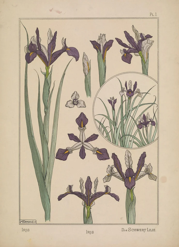 An illustration from La plante et ses applications ornementales, 1896, leaf 10
