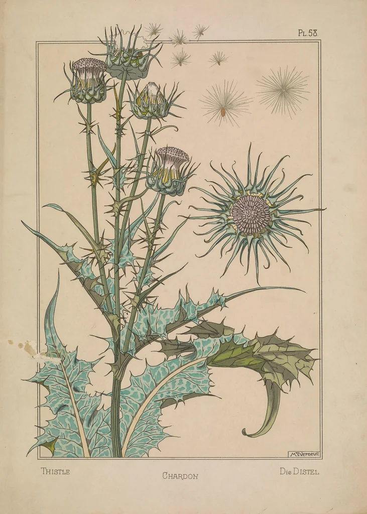 An illustration from La plante et ses applications ornementales, 1896, leaf 108