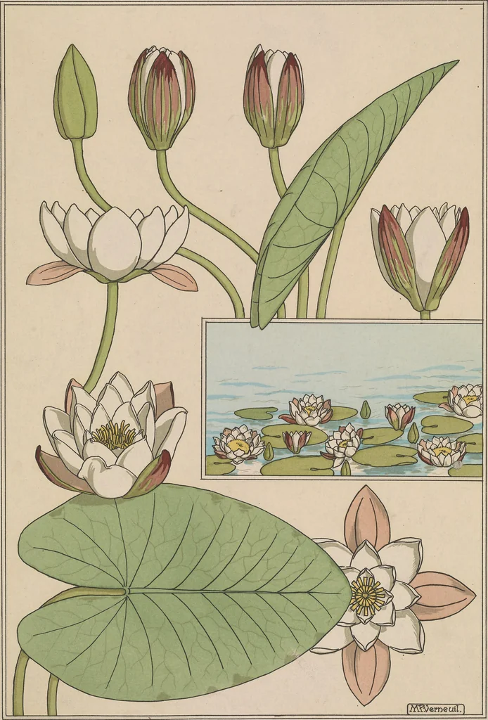 An illustration from La plante et ses applications ornementales, 1896, leaf 18