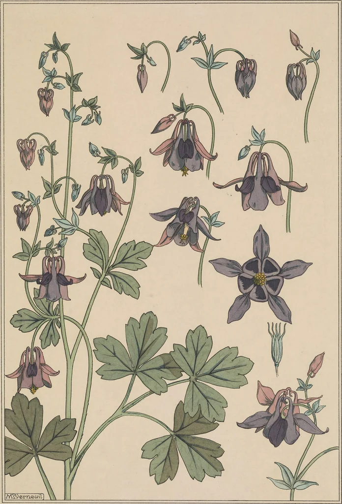 An illustration from La plante et ses applications ornementales, 1896, leaf 24