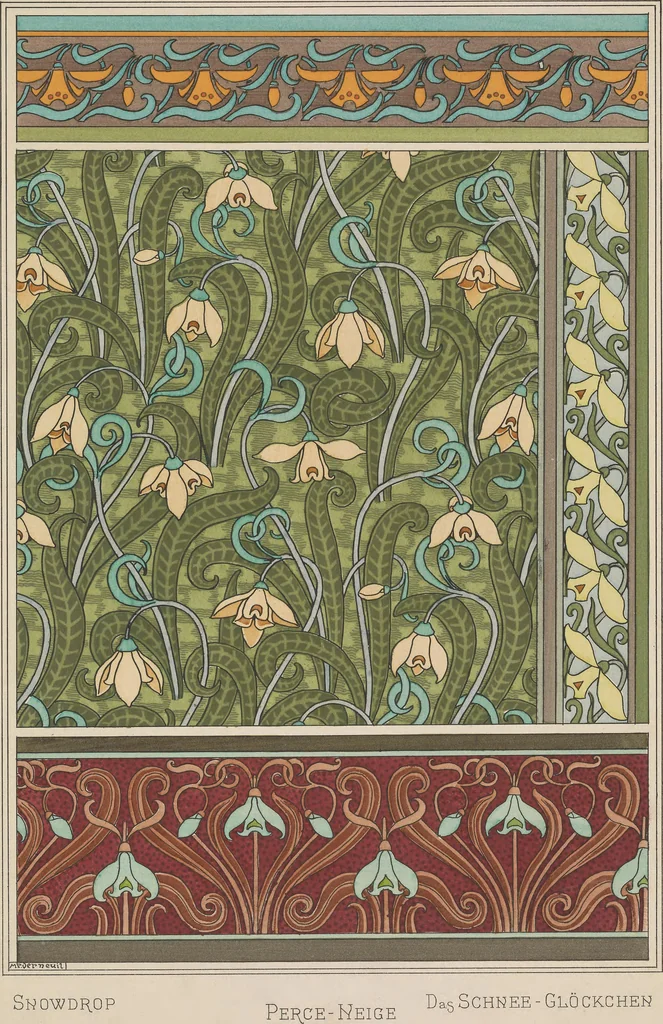An illustration from La plante et ses applications ornementales, 1896, leaf 62