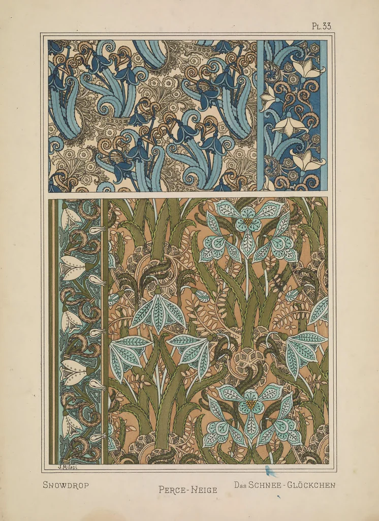 An illustration from La plante et ses applications ornementales, 1896, leaf 64