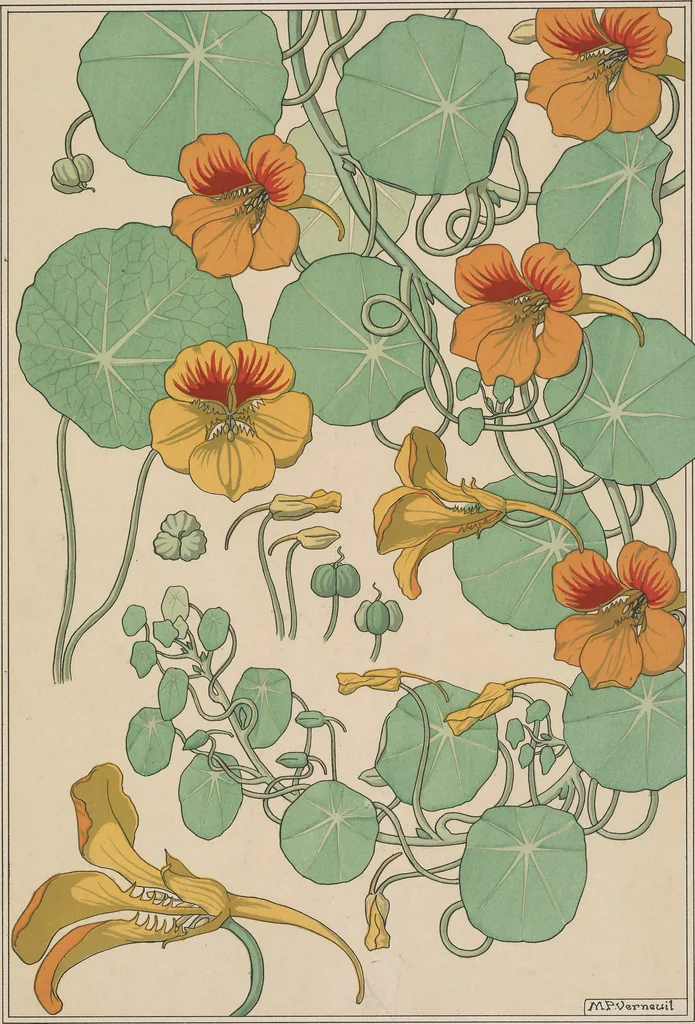 An illustration from La plante et ses applications ornementales, 1896, leaf 78