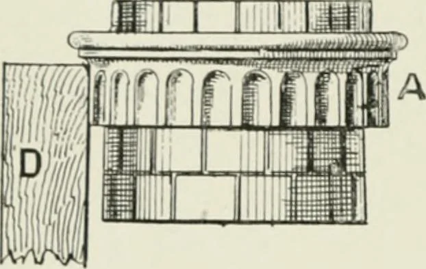 An illustration from Plastering, plain and decorative. A practical treatise on the art & craft of plastering and modelling, including full descriptions of the various tools, materials, processes, and appliances employed ... together with an account of historical plastering in England, Scotland, and Ireland, accompanied by numerous examples, 1899, leaf 257