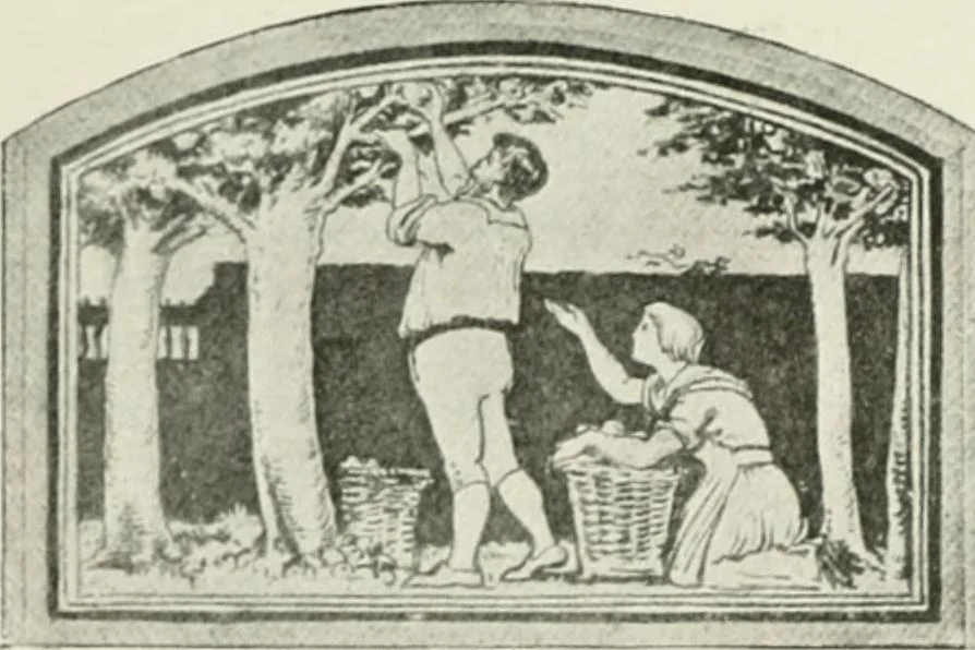 An illustration from Plastering, plain and decorative. A practical treatise on the art & craft of plastering and modelling, including full descriptions of the various tools, materials, processes, and appliances employed ... together with an account of historical plastering in England, Scotland, and Ireland, accompanied by numerous examples, 1899, leaf 321