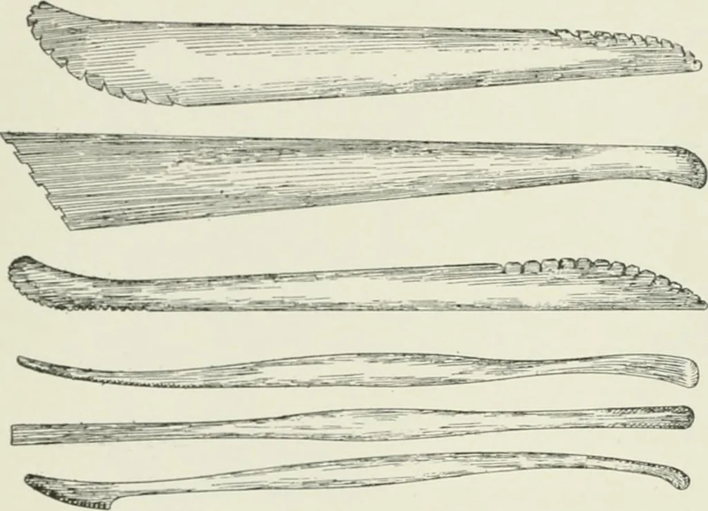 An illustration from Plastering, plain and decorative. A practical treatise on the art & craft of plastering and modelling, including full descriptions of the various tools, materials, processes, and appliances employed ... together with an account of historical plastering in England, Scotland, and Ireland, accompanied by numerous examples, 1899, leaf 341