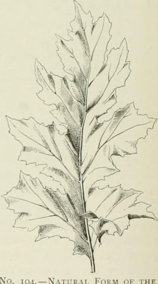 An illustration from Plastering, plain and decorative. A practical treatise on the art & craft of plastering and modelling, including full descriptions of the various tools, materials, processes, and appliances employed ... together with an account of historical plastering in England, Scotland, and Ireland, accompanied by numerous examples, 1899, leaf 407