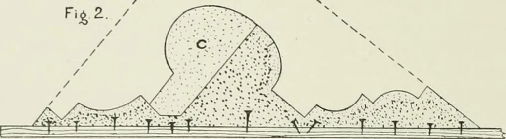 An illustration from Plastering, plain and decorative. A practical treatise on the art & craft of plastering and modelling, including full descriptions of the various tools, materials, processes, and appliances employed ... together with an account of historical plastering in England, Scotland, and Ireland, accompanied by numerous examples, 1899, leaf 495