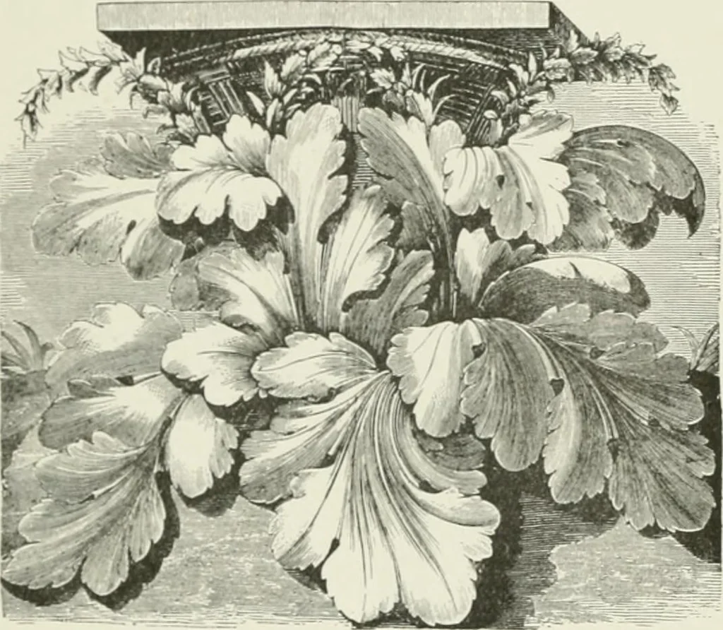 An illustration from Plastering, plain and decorative. A practical treatise on the art & craft of plastering and modelling, including full descriptions of the various tools, materials, processes, and appliances employed ... together with an account of historical plastering in England, Scotland, and Ireland, accompanied by numerous examples, 1899, leaf 655
