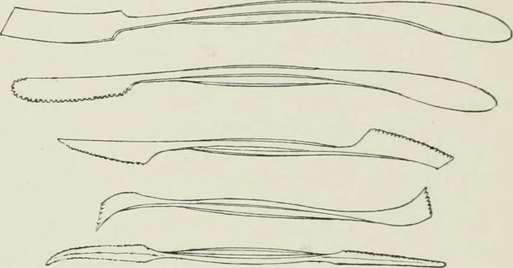 An illustration from Plastering, plain and decorative. A practical treatise on the art & craft of plastering and modelling, including full descriptions of the various tools, materials, processes, and appliances employed ... together with an account of historical plastering in England, Scotland, and Ireland, accompanied by numerous examples, 1899, leaf 674