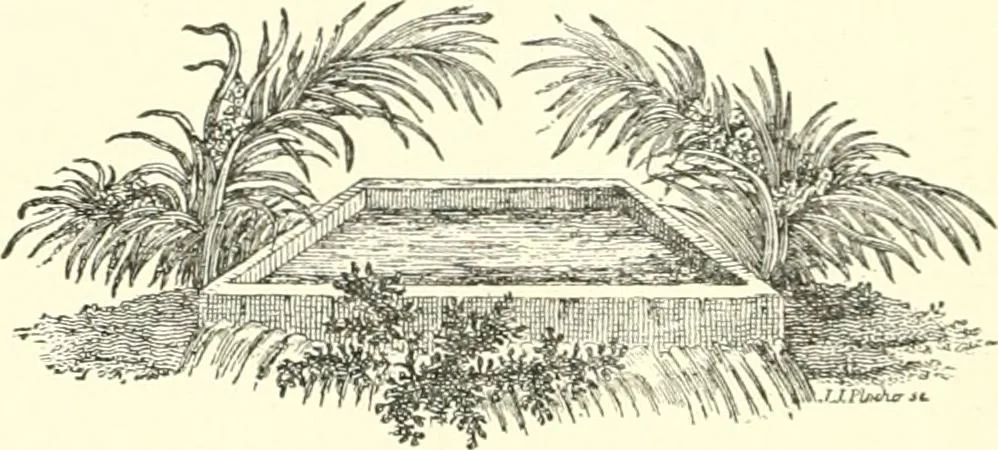 An illustration from American book-plates, a guide to their study with examples ... With a bibliography by Eben Hewins ... Illustrated with many reproductions of rare and interesting book-plates and in the finer editions with many prints from the original coppers both old and recent, 1905, leaf 59